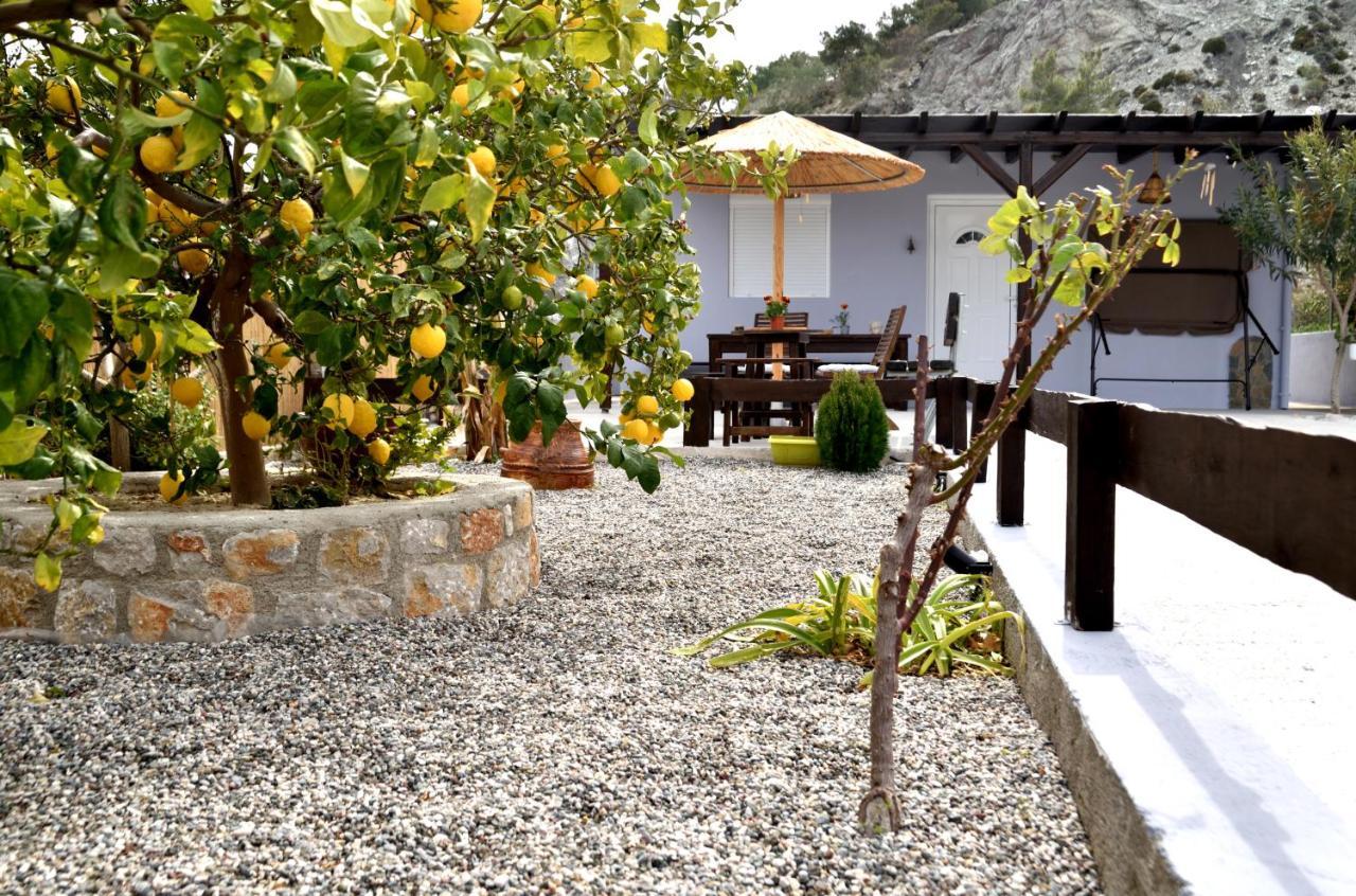 Plumeria House Villaer *